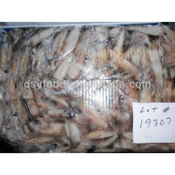 Whole Round California Squid Price